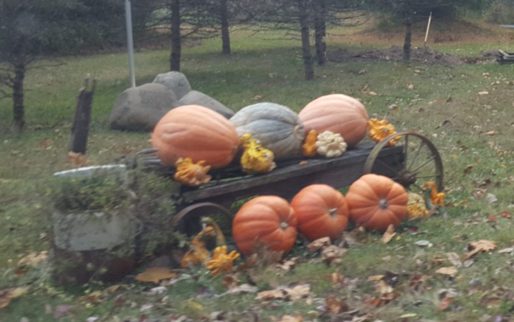 Camera Lens or Mind’s&nbsp;Eye?