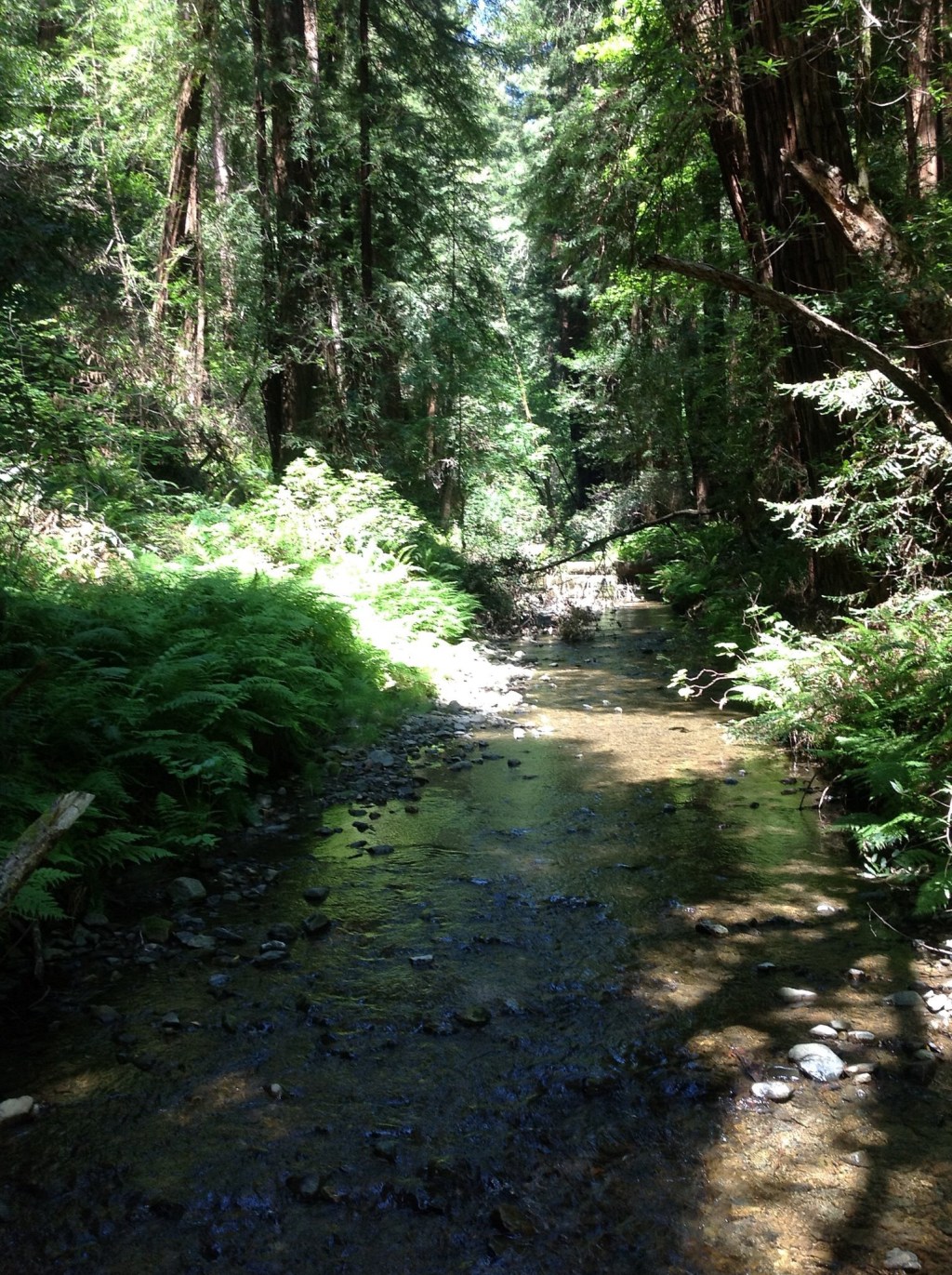 Go With the Flow – A&nbsp;Poem