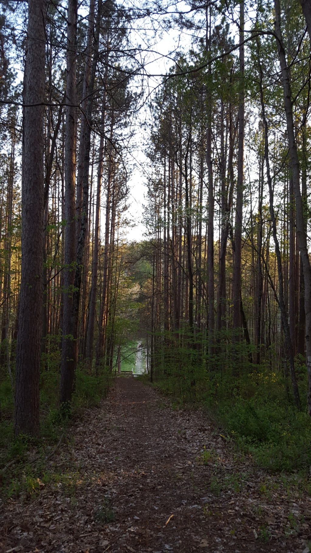 Waging War- A&nbsp;Poem