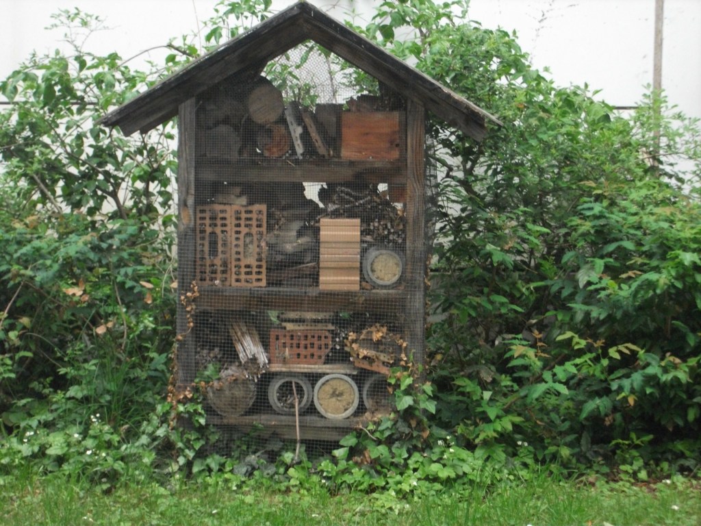 Stranger Inspiration