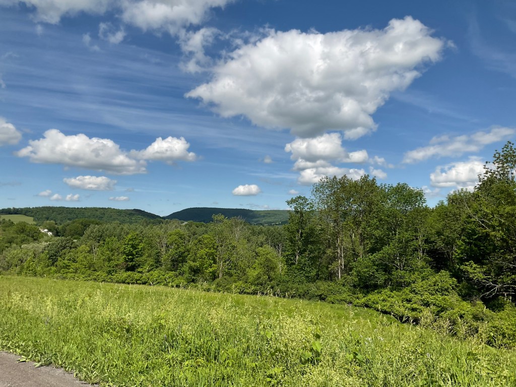 Poems From a Single’s&nbsp;Diary