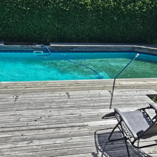 Pay No Attention, All is&nbsp;Well