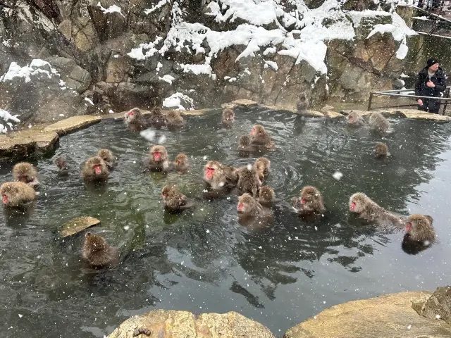 How Not to&nbsp;Drown